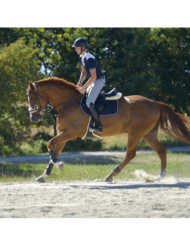 Oficerki Maximus KAVALKADE