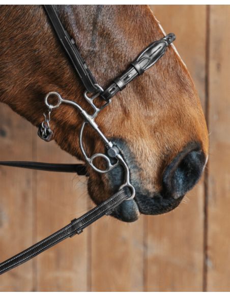 Pasek do hackamore Richard FAGER