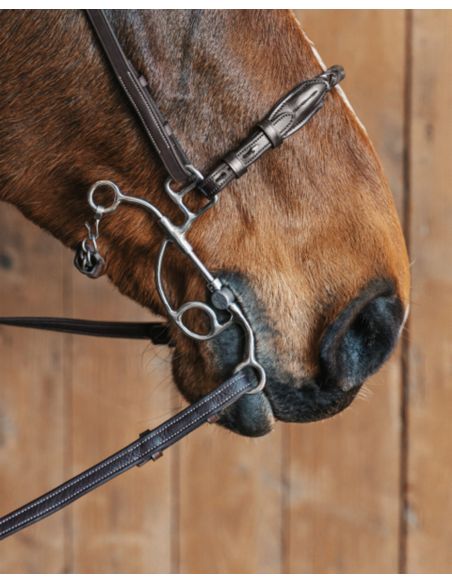 Pasek do hackamore Richard FAGER