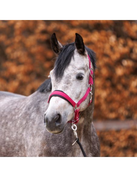 Kantar Classic Simple KAVALKADE