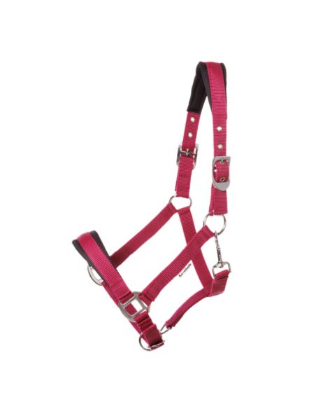 Kantar Classic Simple KAVALKADE