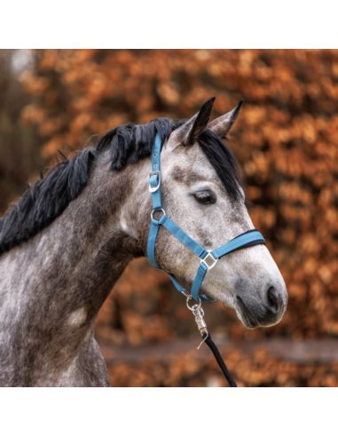 Kantar Classic Simple KAVALKADE