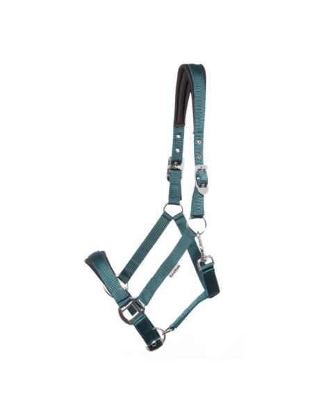 Kantar Classic Simple KAVALKADE