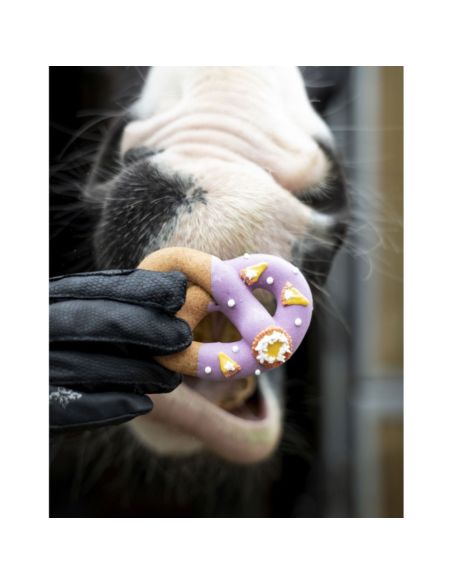 Precle z lukrem z kolekcji FOODIE CANDY HORSE