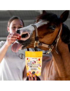 Żelki dla koni truskawka-banan CANDY HORSE 2