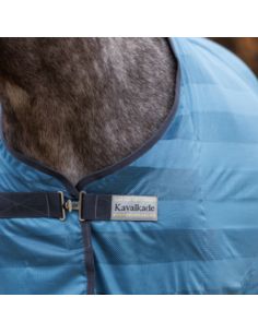 Derka siatkowa Stripe KAVALKADE niebieska 2
