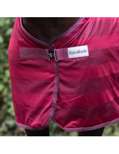 Derka siatkowa Stripe KAVALKADE bordowa 2
