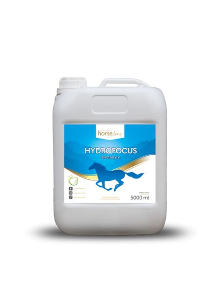 Elektrolity HydroFocus 5000ml HORSELINEPRO