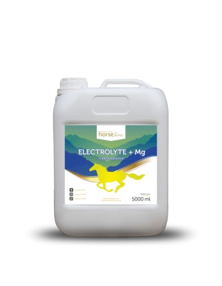 Elektrolity z magnezem 5000ml HORSELINEPRO