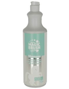 Szampon Wash&Shine 1000ml MAGIC BRUSH