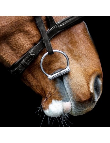 Wędzidło Anna Sweet Iron Fixed rings FAGER