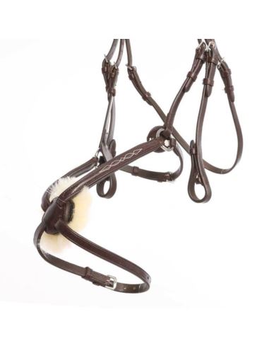 Ogłowie Diandro KAVALKADE