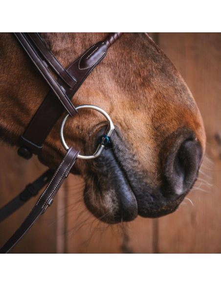 Wędzidło tytanowe Sally Fixed Rings FAGER