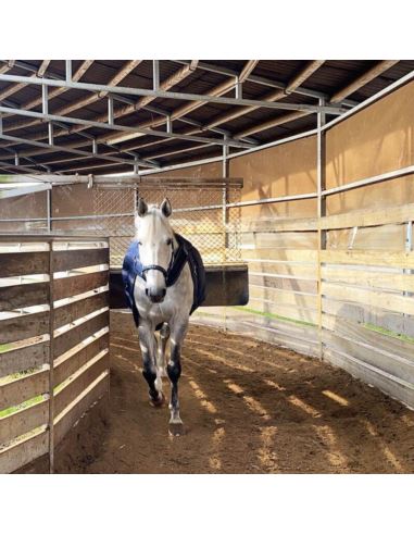 Derka stajenna 2w1 Halifax 200g KAVALKADE