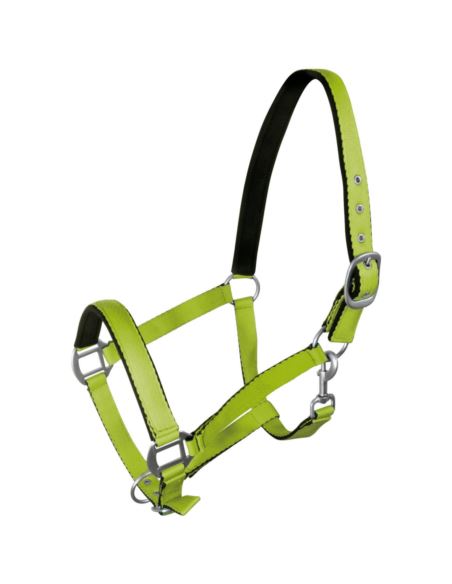 Kantar Fluo YORK