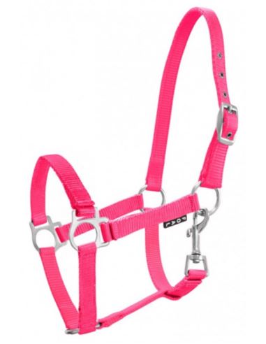 Kantar źrebięcy Milo YORK