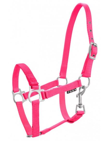 Kantar źrebięcy Milo YORK