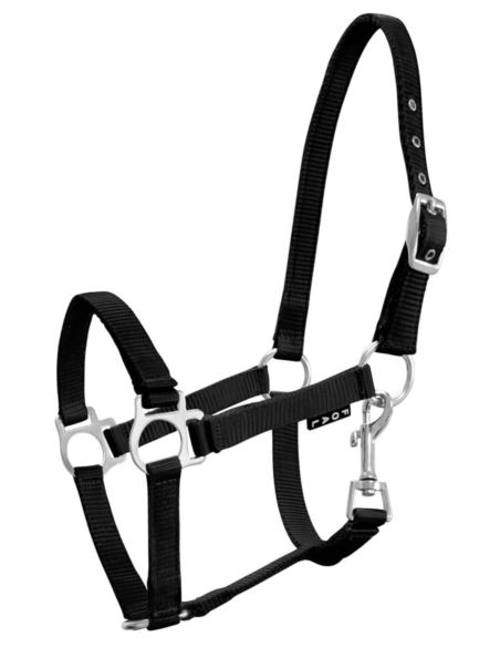 Kantar źrebięcy Milo YORK