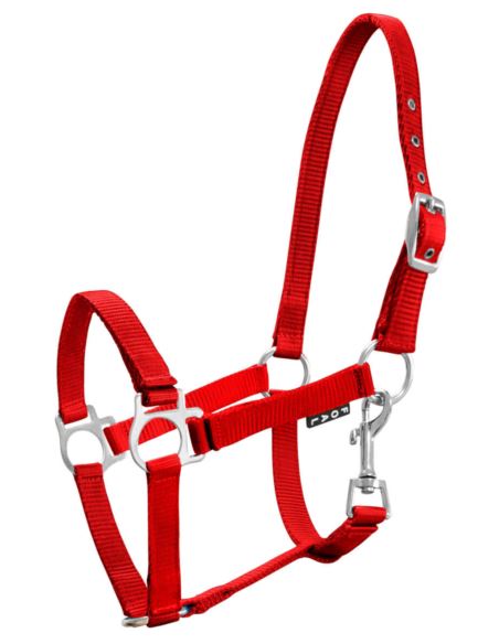 Kantar źrebięcy Milo YORK