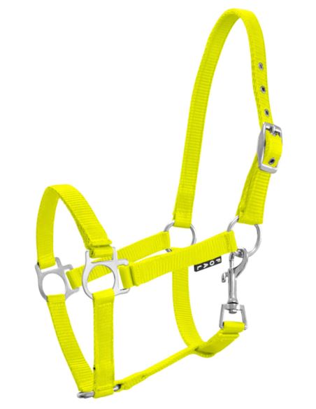 Kantar źrebięcy Milo YORK