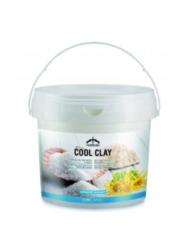 Glinka Cool Clay z solą i arniką 2,5kg VEREDUS