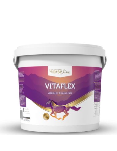 Suplement VitaFlex 5000g HORSELINEPRO