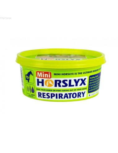 Lizawka Respiratory 650g HORSLYX